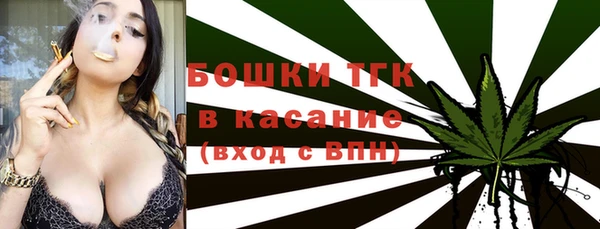 крисы Мегион