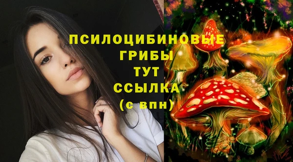 бутират Магадан