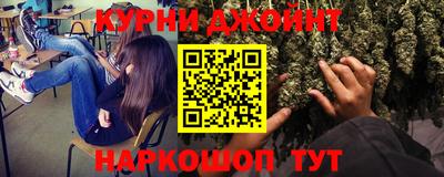 прущие грибы Обнинск