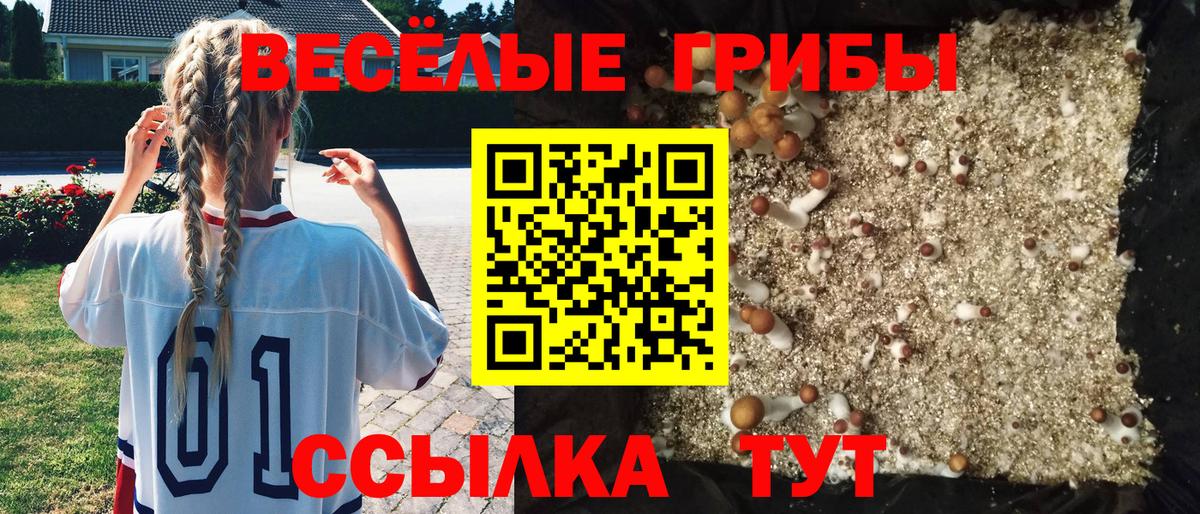 Псилоцибиновые грибы мицелий  Вход с VPN  Арзамас 